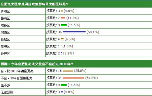 合肥限购令最新图解，深度解析、影响与展望