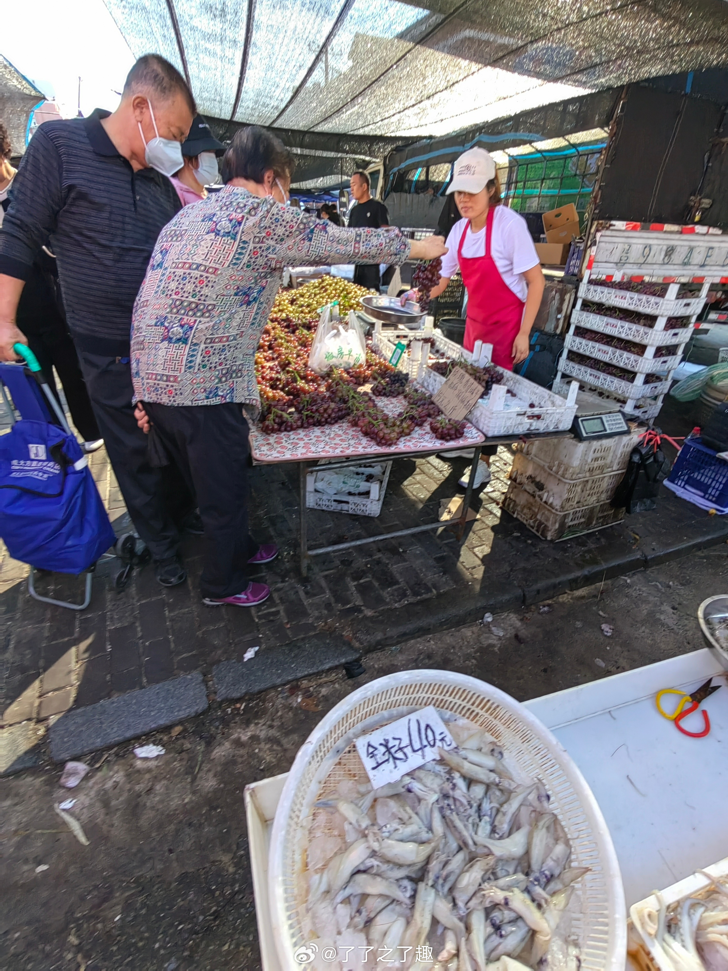 大连早市探秘，城市醒来的味道与活力全攻略