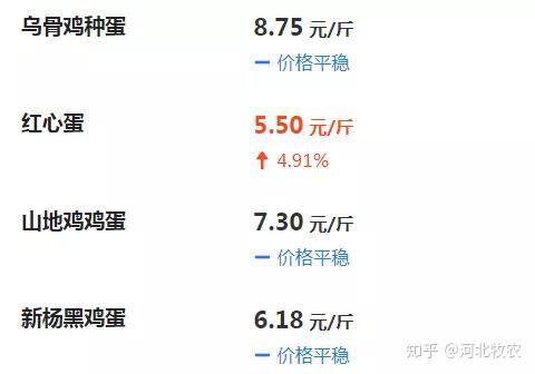 今日鸡蛋价格走势分析，最新价格信息与影响因素探讨