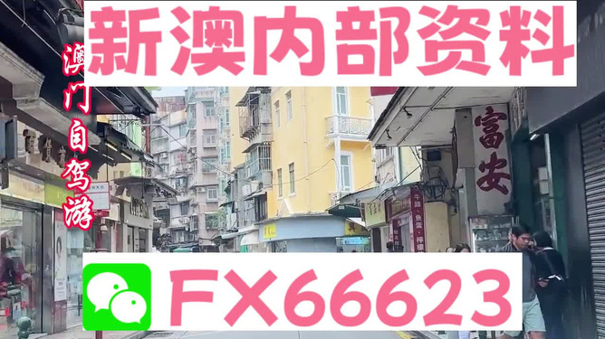 新澳精准资料,动态词语解释落实_HD38.32.12