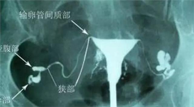 淘気啲→羊 第7页