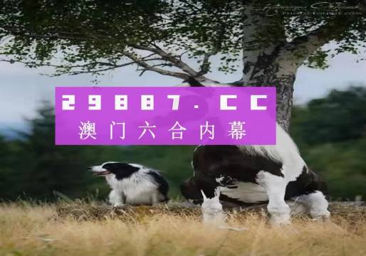 澳门跑狗,创新性方案设计_标准版99.558