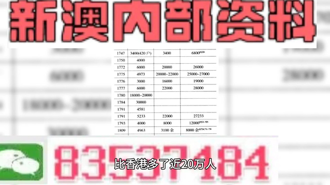 2024新澳精准正版资料,高效解析说明_工具版96.953