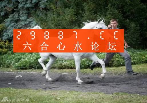 7777788888精准跑狗图,专业解析评估_36067.419