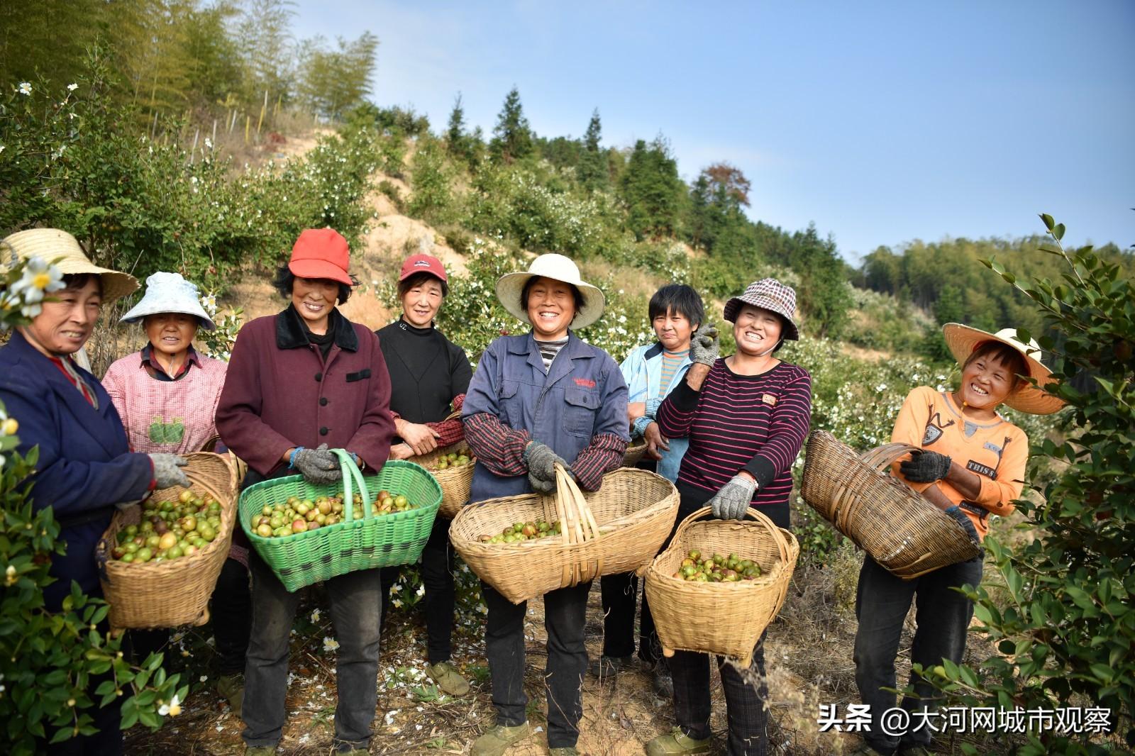 热带的企鹅 第7页