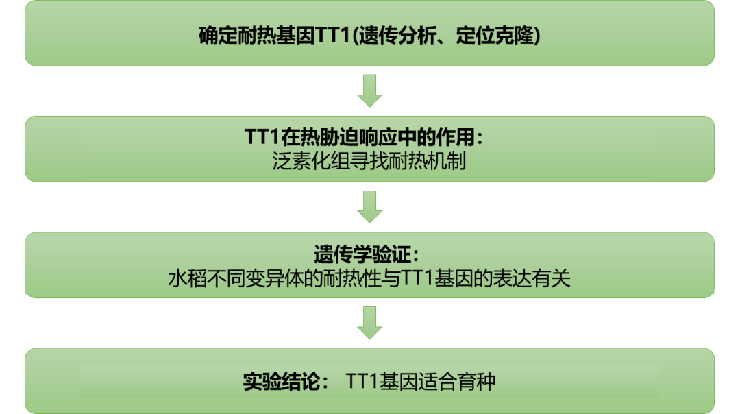 人逝花空 第6页