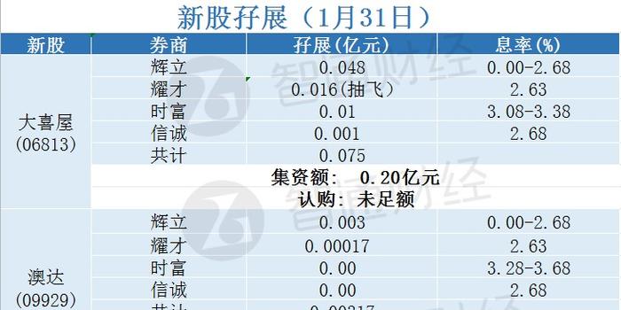 2024新澳资料免费精准051,统计分析解释定义_6DM76.102