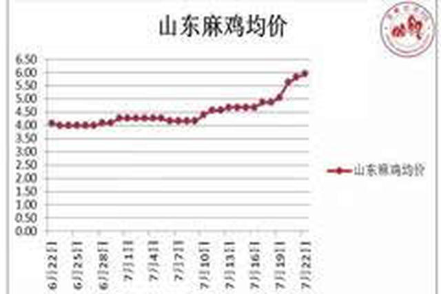 山东肉鸡今日最新价格分析