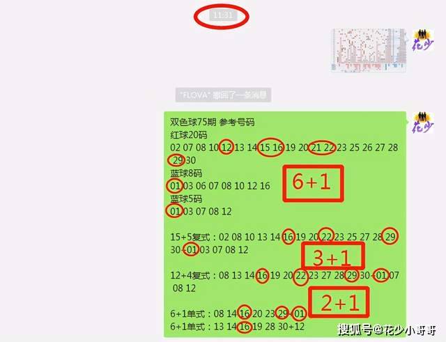 白小姐今晚特马期期准六,科学基础解析说明_XP71.386