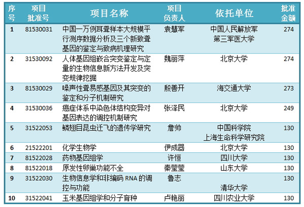 新澳门内部一码精准公开,快速设计响应方案_黄金版24.960