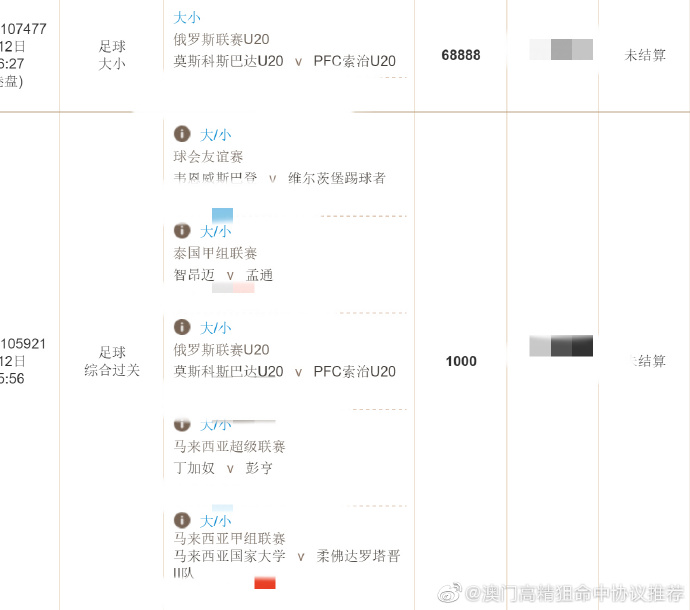 王中王精准资料期期中澳门高手,高效性实施计划解析_eShop85.252