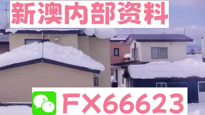 新澳内部资料精准一码免费,动态评估说明_微型版31.579