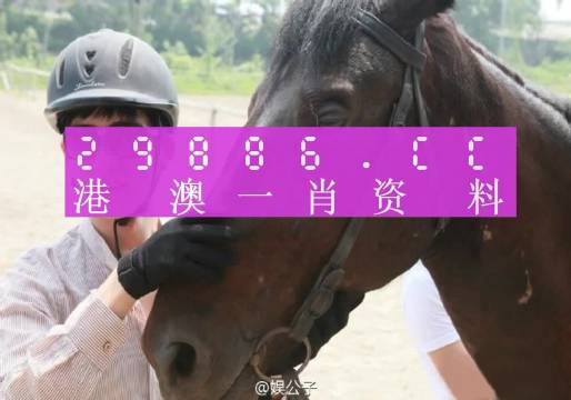 澳门今晚必中一肖一码准确9995,适用实施计划_完整版69.526