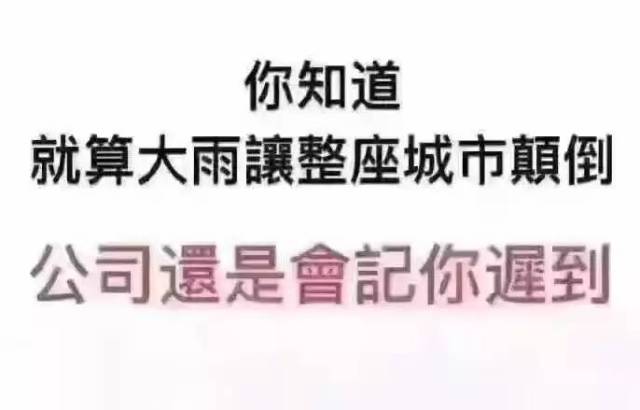 2017年社会正能量新闻集锦。，符合您的要求。