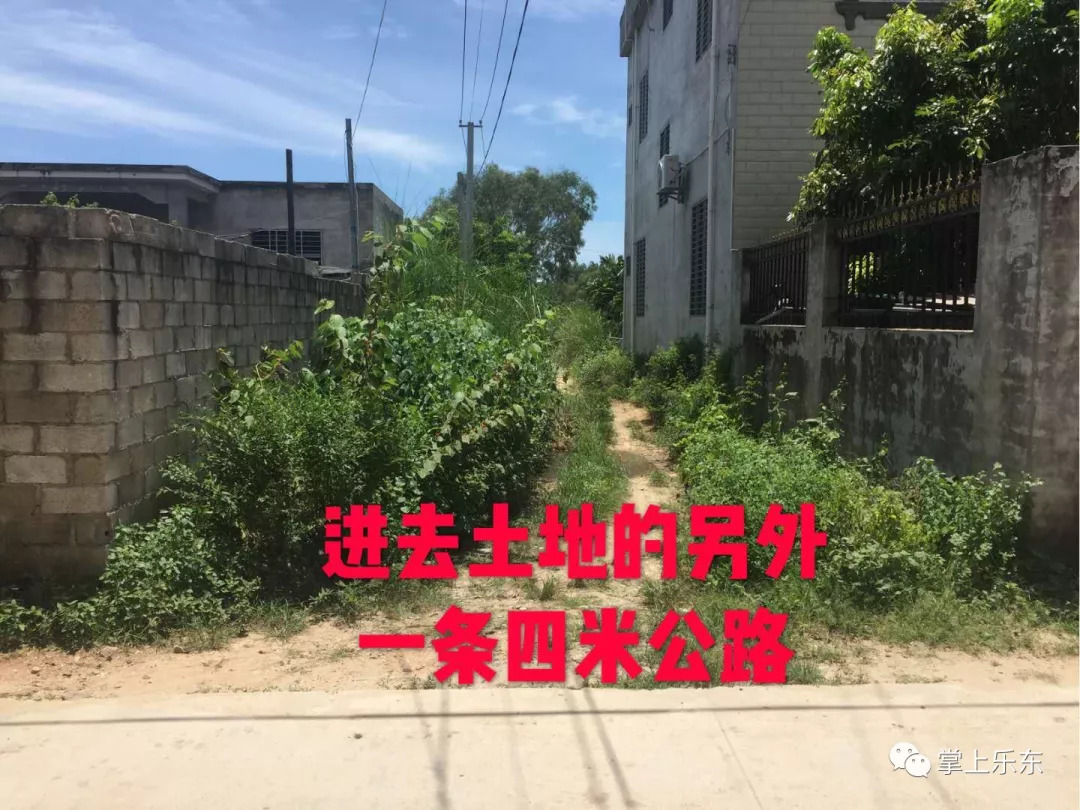 桑植急二手房最新市场动态与购房指南