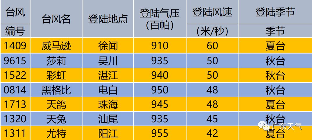 新粤门六舍彩资料正版,准确资料解释落实_WP版48.16