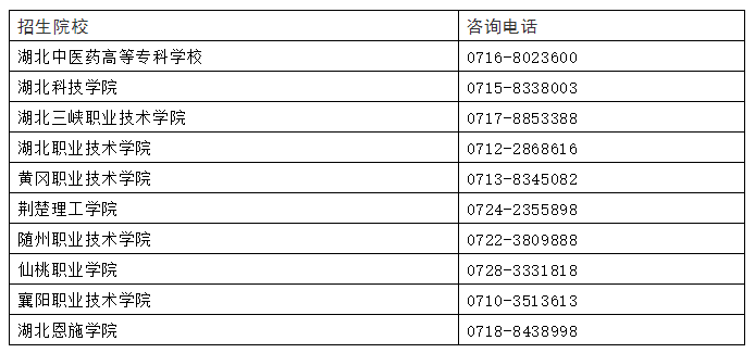 澳特一码一肖一特,实践经验解释定义_suite37.956