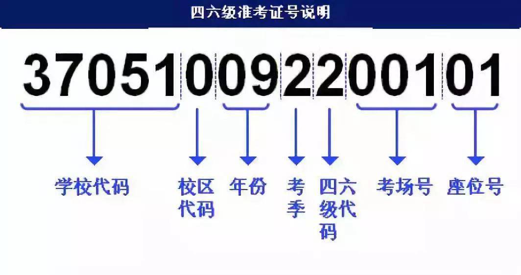 2023管家婆一肖,可靠执行计划策略_iPad10.997