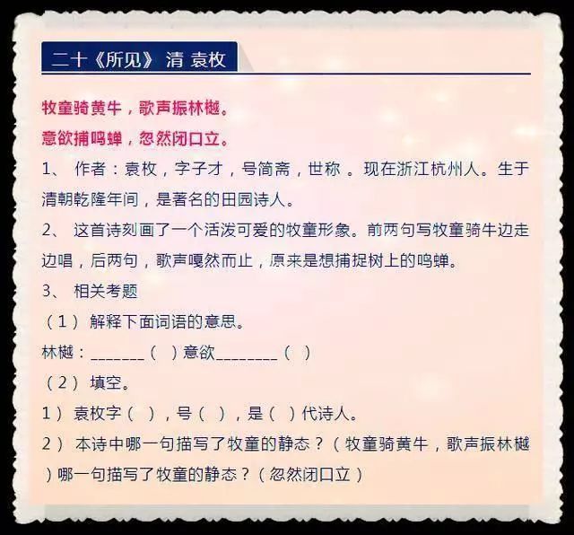 三肖三期必出特肖资料,实地评估说明_创新版64.116