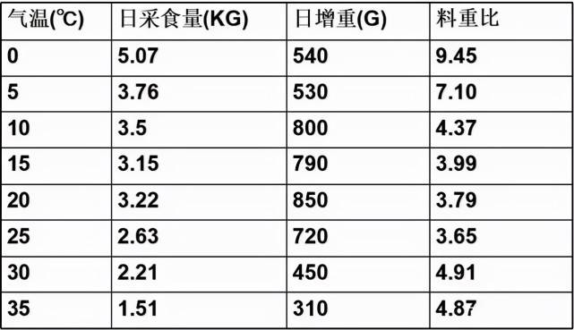 新澳天天彩免费资料49,效率资料解释定义_Max86.208