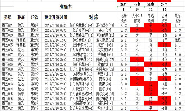 二四六天好彩499cc免费资料,实地数据验证策略_完整版63.181