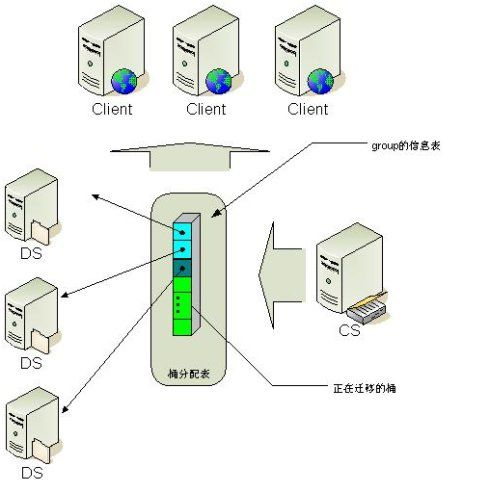 正版资料免费资料大全十点半,全面实施数据分析_轻量版40.135