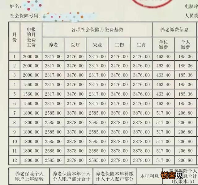 最新社保查询，便捷高效透明的社会保障管理新方式