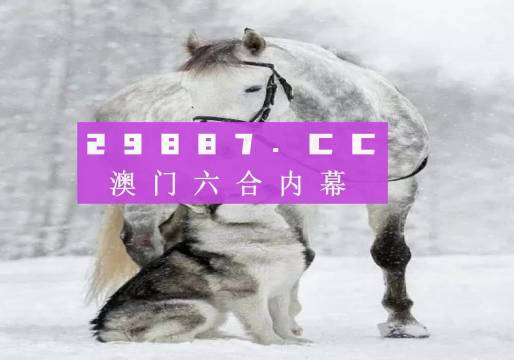 7777788888新版跑狗图,高效策略设计解析_1440p28.12