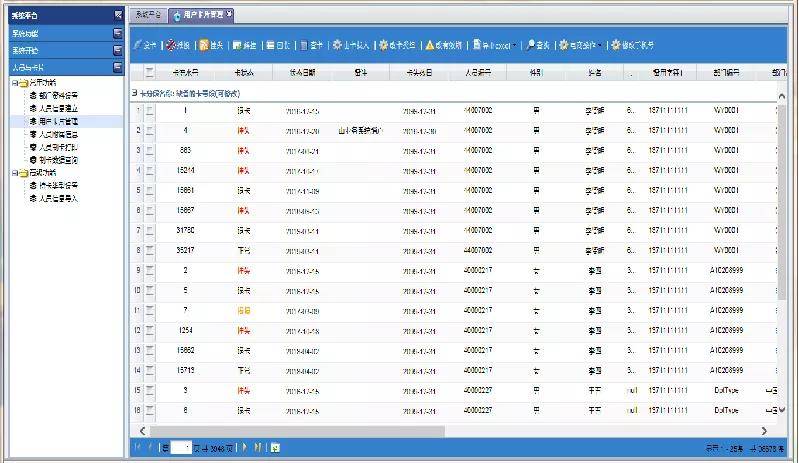 2024新澳精准资料免费提供,实地策略计划验证_高级款38.300