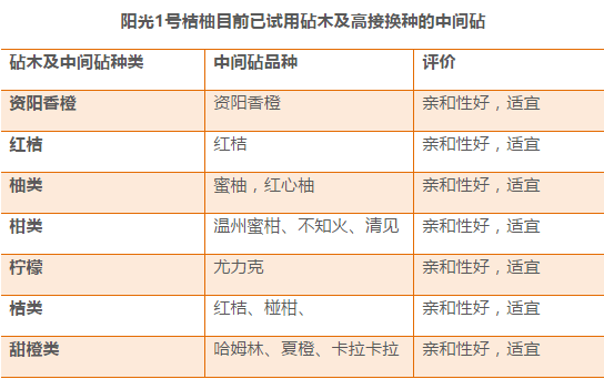 2024新奥资料免费精准071,收益解析说明_8K84.94