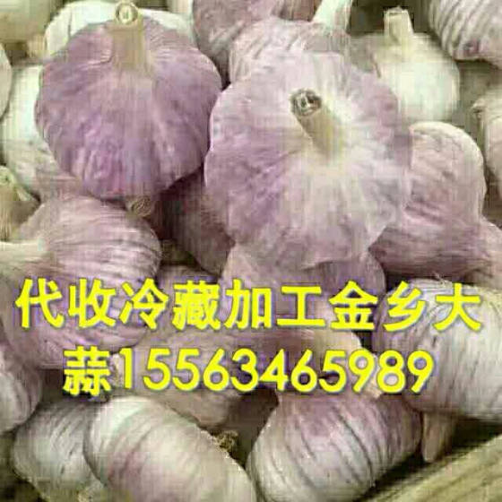 傻笑，那段情 第5页