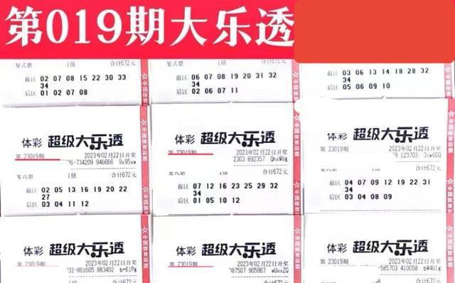 2024澳门天天彩免费正版资料,正确解答落实_专家版81.823