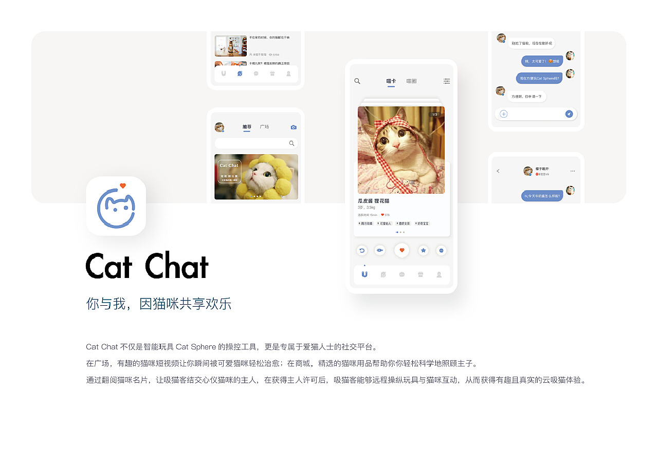 猫咪app2.0全新体验与特色功能官方最新版来袭