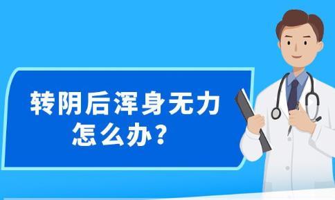 新澳精准资料免费提供最新版,安全性计划解析_AR59.62