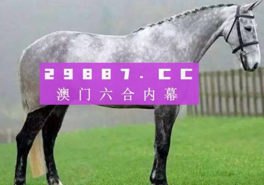 2023年澳门特马今晚开码,实际应用解析说明_T53.832