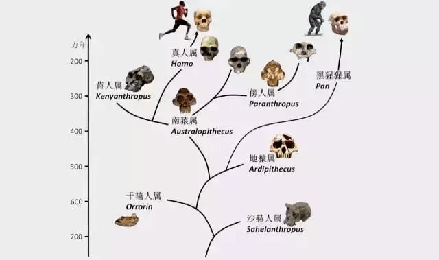 一码一肖100%的资料,动态调整策略执行_社交版57.813