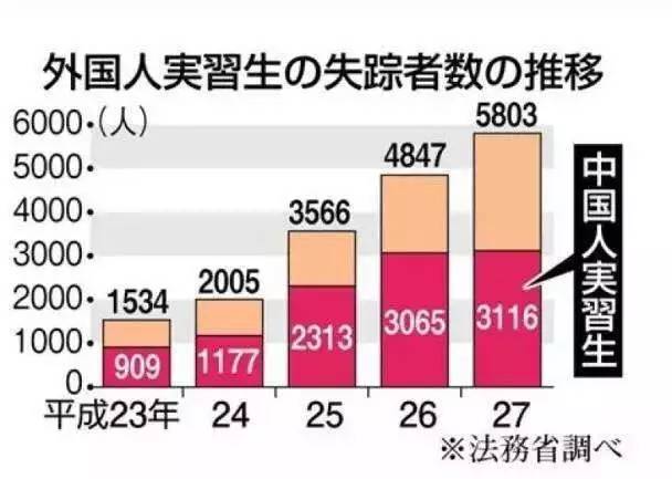 香港马买马网站www,实践性方案设计_8K90.881