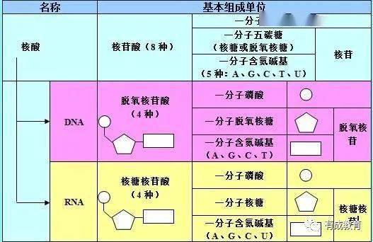 黄大仙资料一码100准,涵盖广泛的说明方法_8DM99.357