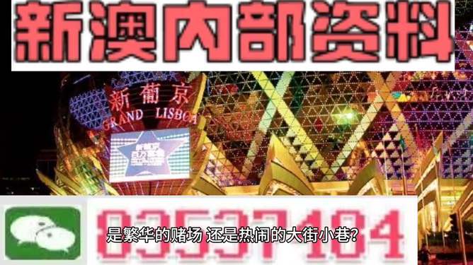 新澳门2024年资料大全管家婆,精准解答解释定义_完整版65.283