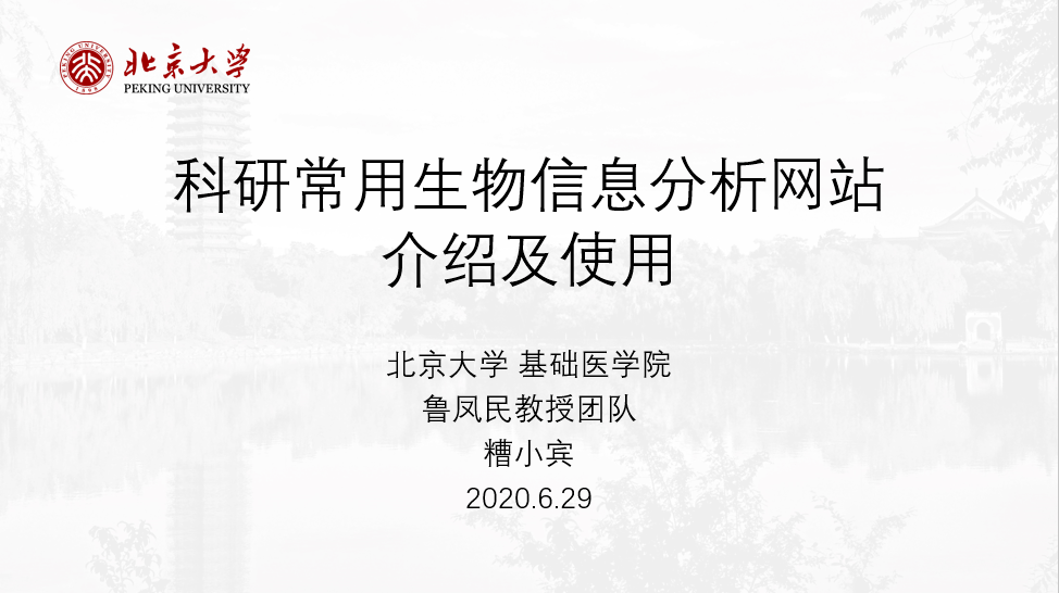 澳门濠江论坛资料,科学研究解析说明_动态版38.629