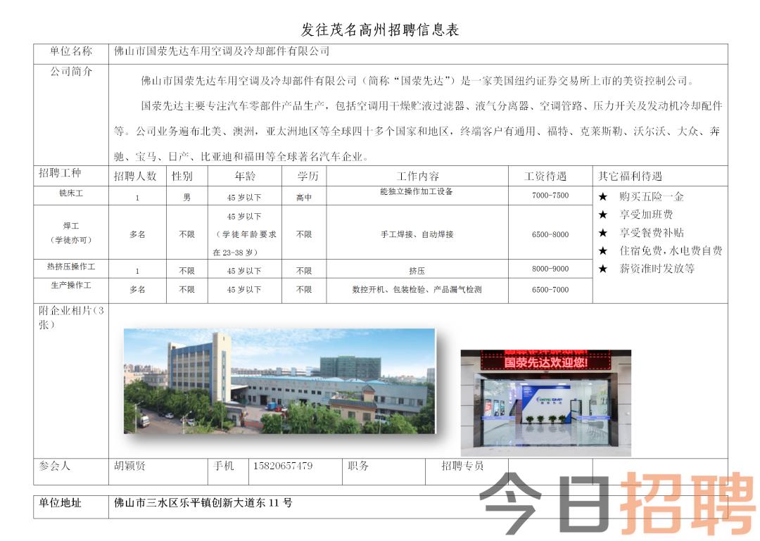 高州市数据和政务服务局招聘公告详解