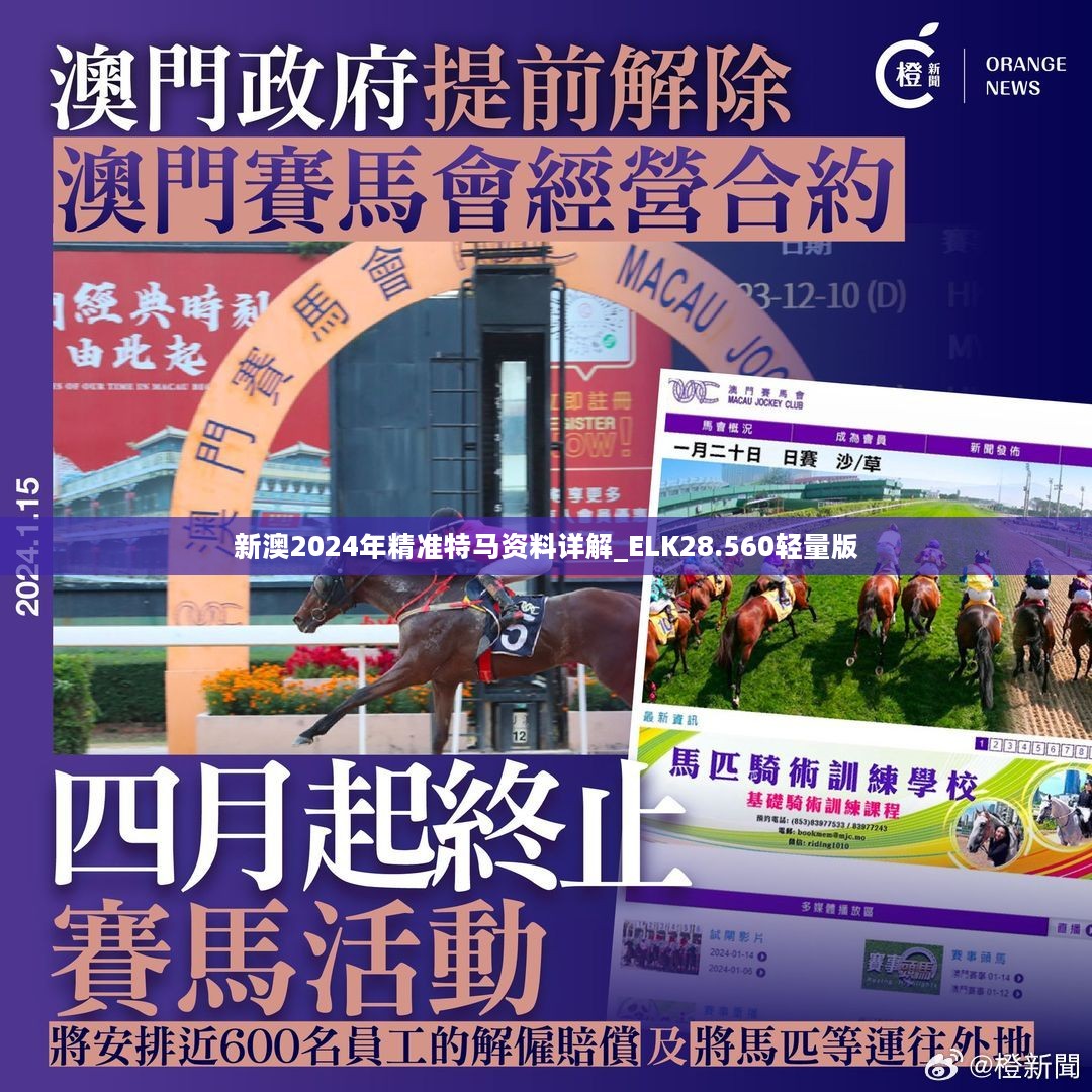 新澳2024年精准特马资料,可靠设计策略解析_CT80.866