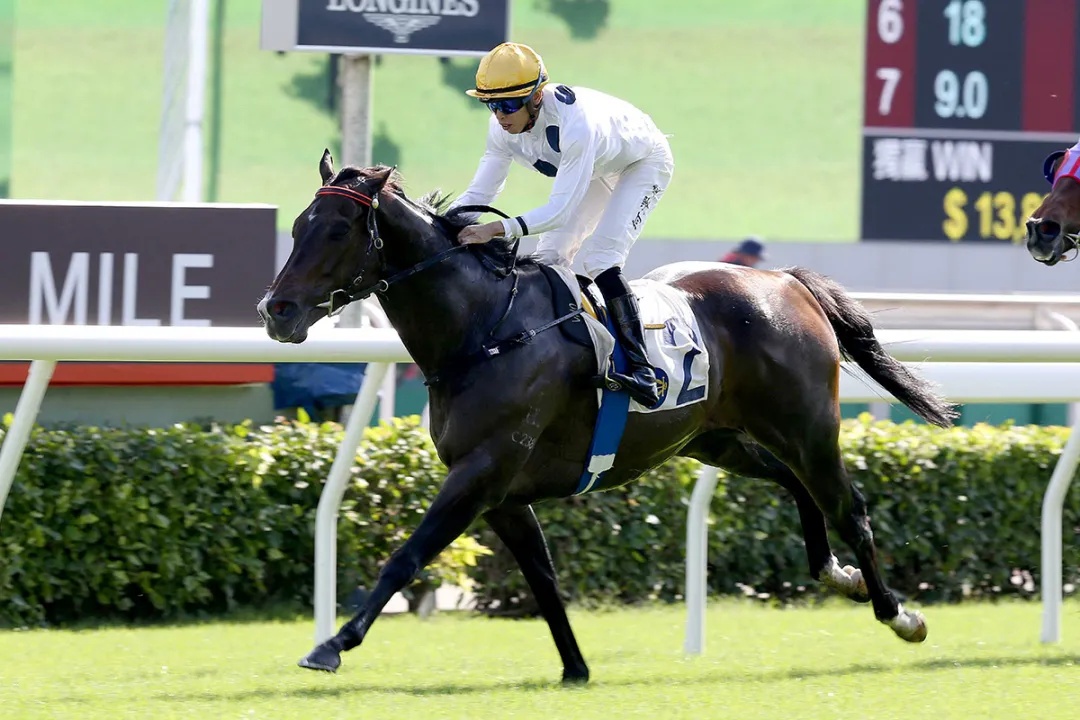 香港特马资料王中王 下载,完整机制评估_尊贵款52.777