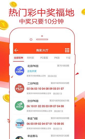 新澳门王中王100%期期中,效率资料解释落实_入门版2.928