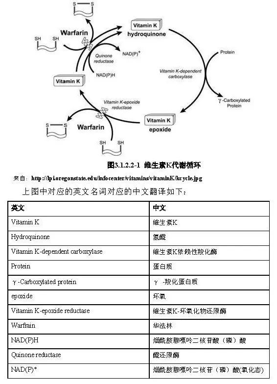 广东八二站资料,连贯方法评估_户外版93.401