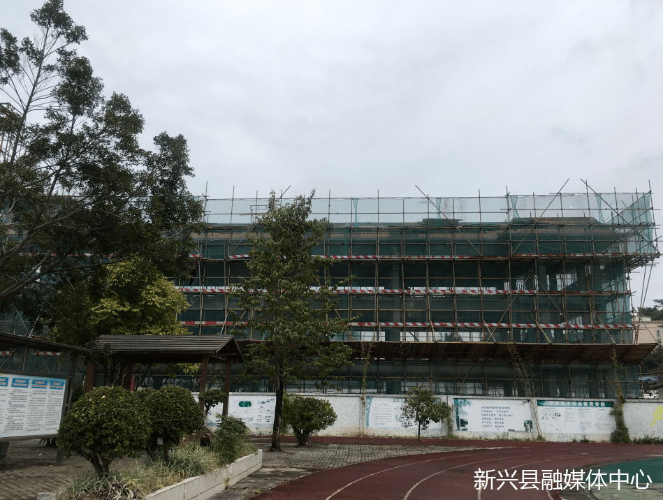 新兴县小学未来蓝图，发展规划概览