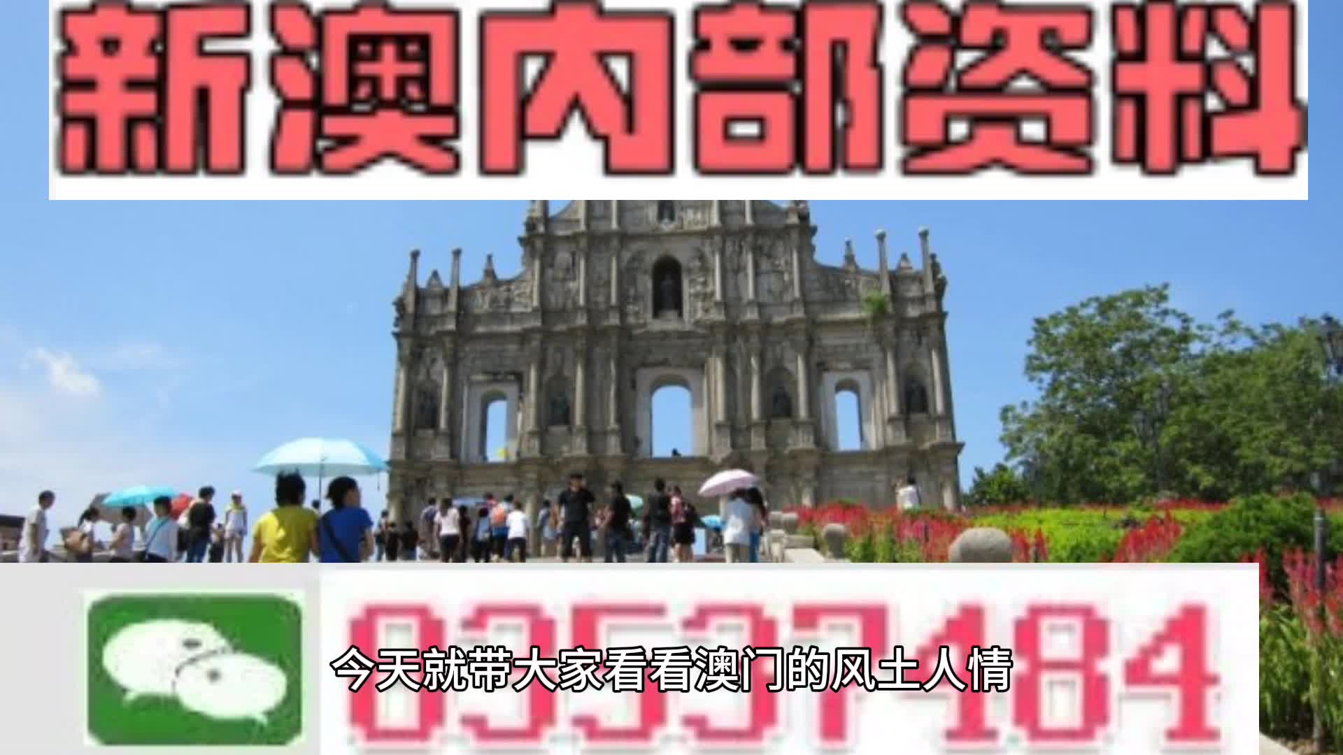 新澳2024年精准一肖一码,整体规划讲解_P版77.736