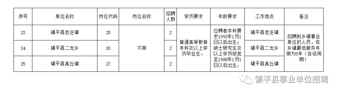 宏伟区级托养福利事业单位招聘新动态及其社会影响分析