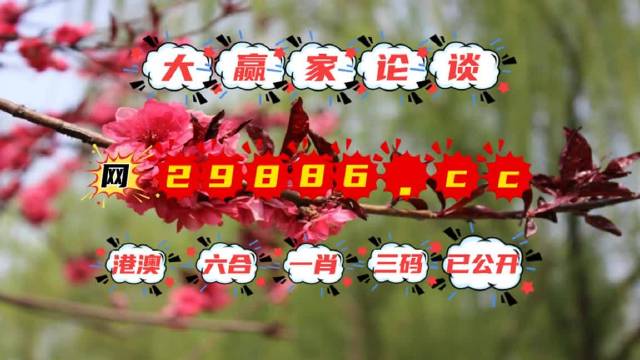 澳门一肖一码一一子中特,理论解答解释定义_手游版56.822