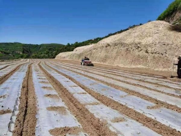 富县农业农村局新项目推动农业现代化助力乡村振兴